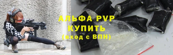 гидра Алексеевка